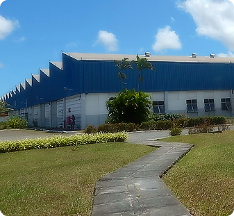 Imagem A Binswanger Brazil atuou na&hellip;